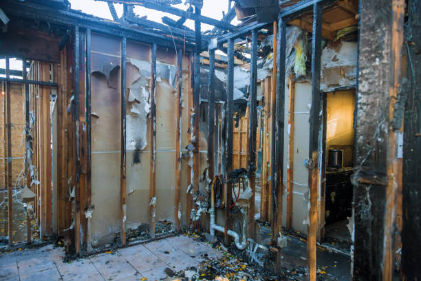 Professional Fire Damage Repair technician working in Glencoe, FL